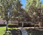 2349 Homewood Lane - Photo 1