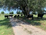 1521 Fm 590 - Photo 29