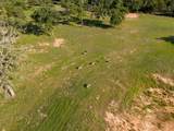 Lot 67 Horseshoe Lake Ranch - Photo 7