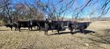 8601 Lowery Road - Photo 13