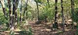 8601 Lowery Road - Photo 4