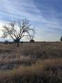 245 Grand Canyon Drive - Photo 4