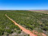 TBD Tract 4 Fm 3116 - Photo 11