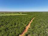TBD Tract 4 Fm 3116 - Photo 12