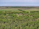 TBD Tract 4 Fm 3116 - Photo 17