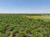 TBD Tract 4 Fm 3116 - Photo 18