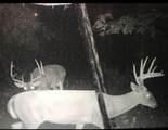 000 Private Rd 7832 - Photo 10