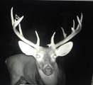 000 Private Rd 7832 - Photo 14
