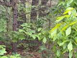 000 County Road 3824 - Photo 15
