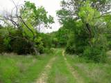 1233 County Road 434 - Photo 21