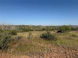 180 acres TBD Cr 343 - Photo 11
