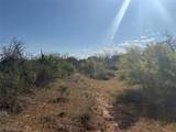 180 acres TBD Cr 343 - Photo 12