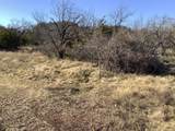 180 acres TBD Cr 343 - Photo 6