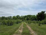 601 County Road 136 - Photo 7