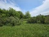 601 County Road 136 - Photo 8