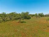 12597 F.M. 2559 - Photo 12