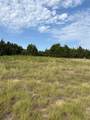 Lot 6 County Road 439 - Photo 18