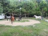 8261 County Road 381 - Photo 23