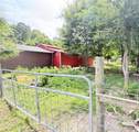 8261 County Road 381 - Photo 36