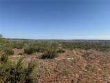 58 acres TBD Cr 343 - Photo 5