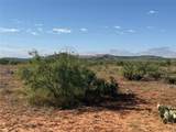 58 acres TBD Cr 343 - Photo 8
