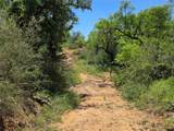 13915 County Road 237 - Photo 33