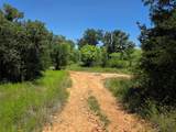 13915 County Road 237 - Photo 36