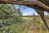 14175 State Highway 6 - Photo 2