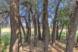 14175 State Highway 6 - Photo 29