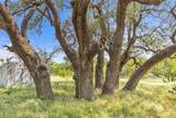 14175 State Highway 6 - Photo 36