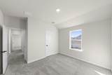 629 Bunchberry Street - Photo 28