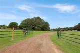 6233 Curtis Black Road - Photo 32