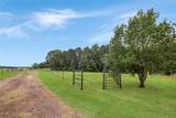 6233 Curtis Black Road - Photo 37