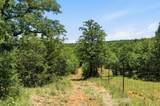 4320 Dobbs Valley Road - Photo 11