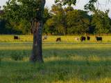 1423 Fm 1653 - Photo 40