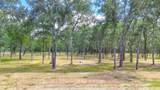 Lot 47 Little Pin Oak Way - Photo 2