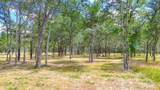 Lot 47 Little Pin Oak Way - Photo 4