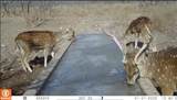 371 Axis Court - Photo 4