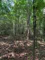 TBD Hwy 259 - Photo 12
