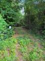 TBD Hwy 259 - Photo 19