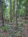 TBD Hwy 259 - Photo 22