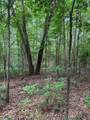 TBD Hwy 259 - Photo 23