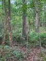 TBD Hwy 259 - Photo 24