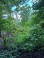 TBD Hwy 259 - Photo 25