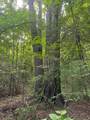 TBD Hwy 259 - Photo 26
