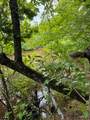 TBD Hwy 259 - Photo 28