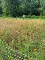 TBD Hwy 259 - Photo 30