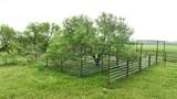 TBD County Rd 389 - Photo 6