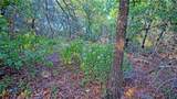 TBD Scenic Hill Drive - Photo 17