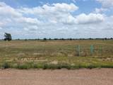 1107 Skyline Street - Photo 1